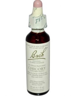 Bach Chicory (1×20 ML)