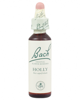 Bach Holly (1×20 ML)