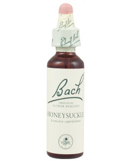 Bach Honeysuckle (1×20 ML)