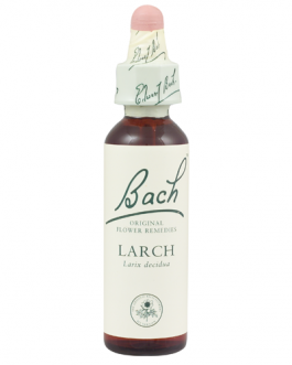 Bach Larch (1×20 ML)