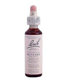 Bach Mustard (1×20 ML)