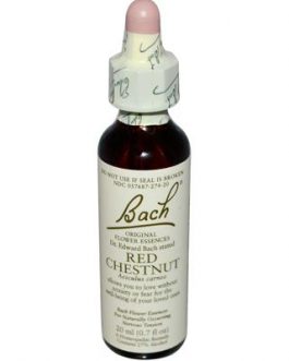 Bach Red Chestnut (1×20 ML)