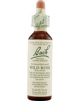 Bach Wild Rose (1×20 ML)