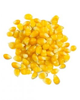 Giusto’s Whole Yellow Corn (1x25LB )