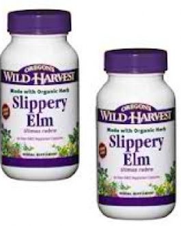 Oregon’s Wild Harvest Slippery Elm (1x90VCAP)